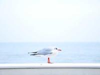 Cinematic AI Visuals